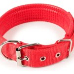Collar Ajustable Acolchado Para Perros Talla L