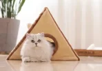 Rascador Triangulo Y Casita Para Jugar Con Colgante Talla L - Imagen 2
