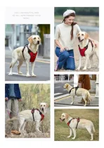 Arnés Premium Chaleco Para Perros Resistente Y Firme Talla M - Imagen 12