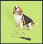 Collar Con Funda Para Airtag Para Perros O Gatos Mascotas - Imagen 2