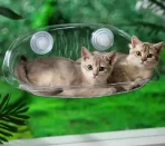 Hamaca Transparente Para Gato Adherible A Ventana - Imagen 4