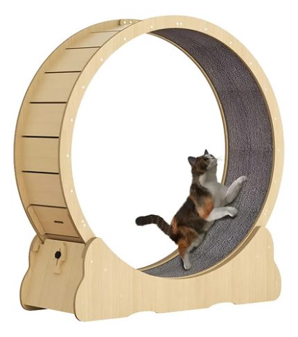 Rueda de ejercicio para gatos de madera de 106 cm