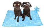 Alfombrilla Manta Refrescante Anti-arañazos Para Mascotas