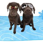 Alfombrilla Manta Refrescante Anti-arañazos Para Mascotas