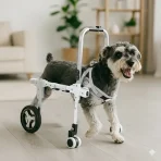 Silla De Ruedas Para Mascotas Con Ruedas Delanteras Sacables - Imagen 4
