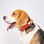 Collar Con Funda Para Airtag Para Perros O Gatos Mascotas - Imagen 9