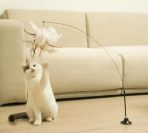Juguete Varita Para Gatos Con Pluma Y Ventosa Fuerte - Imagen 2