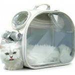 Bolso De Transporte De Mascotas Transparente