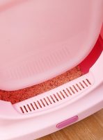Arenero Sanitario Para Gatos Con Puerta Abatible - Imagen 11