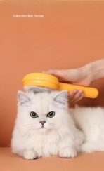 Cepillo Para Mascotas Con Botón De Limpieza - Imagen 17