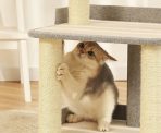 Torre Árbol De Juegos Para Gatos De 3 Plataformas - Imagen 3