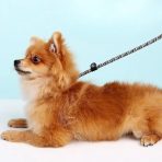 Correa De Corrección Integrada Anti-tirones Para Perros - Imagen 2