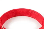 Collar Ajustable Acolchado Para Perros Talla L - Imagen 9