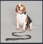 Collar Con Funda Para Airtag Para Perros O Gatos Mascotas - Imagen 8