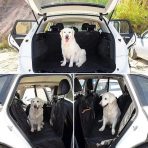 Cubre Asiento De Autos Para Mascotas Resistente - Imagen 4