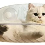 Hamaca Transparente Para Gato Adherible A Ventana