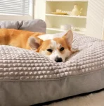 Cama Para Perro Sueño Profundo Estilo Sofá Talla M - Imagen 4