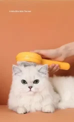 Cepillo Para Mascotas Con Botón De Limpieza - Imagen 3