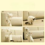 Juguete Varita Para Gatos Con Pluma Y Ventosa Fuerte - Imagen 9
