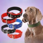 Collar Ajustable Acolchado Para Perros Talla L - Imagen 12