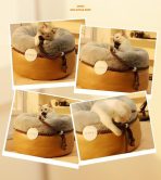 Cama Nido Para Gatos Suave Y Acogedora Felpa Talla S - Imagen 4