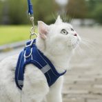 Arnés Ajustable Para Mascotas Talla L - Imagen 6