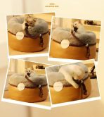 Cama Nido Para Mascotas Suave Y Acogedora Felpa Talla M - Imagen 4