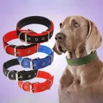 Collar Ajustable Acolchado Para Perros Talla L - Imagen 17
