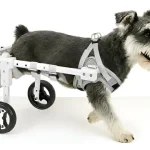 Silla de ruedas para mascotas ajustable de 4 ruedas