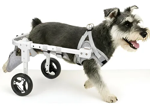 Silla de ruedas para mascotas ajustable de 4 ruedas