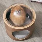 Moderna Casa Para Mascotas Estilo Cúpula - Imagen 3