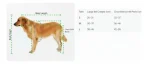 Silla De Ruedas Para Mascotas Con Ruedas Delanteras Sacables - Imagen 2