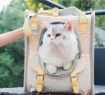Bolso O Mochila Transportadora Para Mascotas Tendencia - Imagen 2