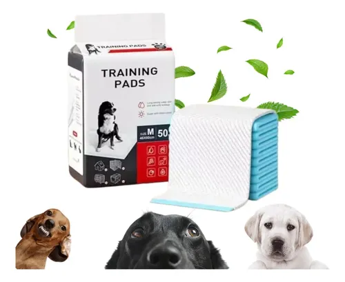 D_995345-MLC75810818414_042024-O.webp 50 Pañales Sabanillas Mascotas Perros Gatos 45x60 Cm Oferta