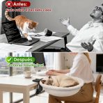 Hamaca Flotante De Escritorio Para Gatos - Imagen 3