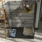 Jaula Estancia Para Gatos - Imagen 7
