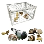 jaula trampa multiusos - Jaula Trampa Multiusos Para Aves, Conejos Y Roedores