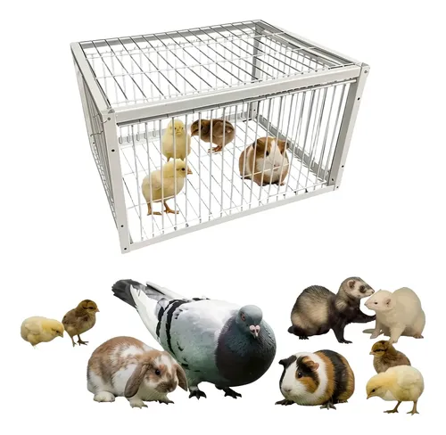 jaula trampa multiusos - Jaula Trampa Multiusos Para Aves, Conejos Y Roedores